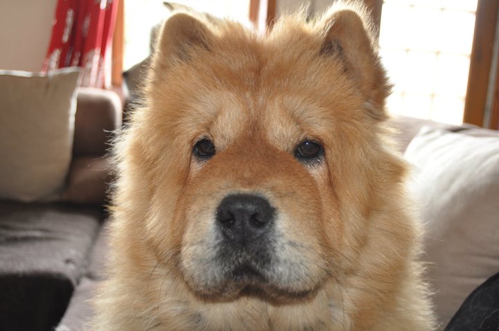 Savana (Sans Affixe)